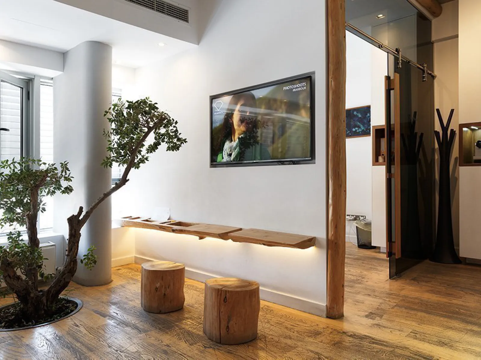 Reception at Dr Zenonos clinic with an olive tree